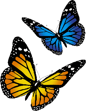 butterflies