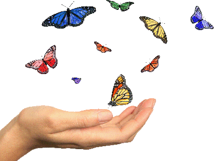 butterflies